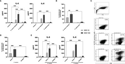 Inflammatory Response Against Staphylococcus aureus via Intracellular Sensing of Nucleic Acids in Keratinocytes